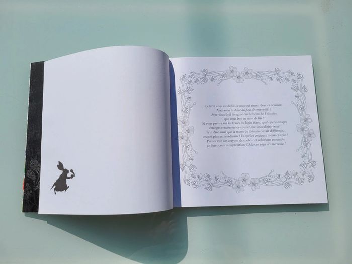 Livre créatif Alice au pays des Merveilles, Carnet de coloriage et voyage imaginaire antistress - photo numéro 4