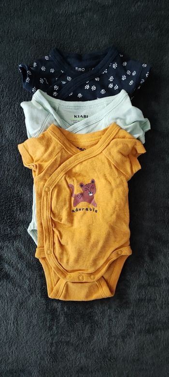 Lot habits naissance