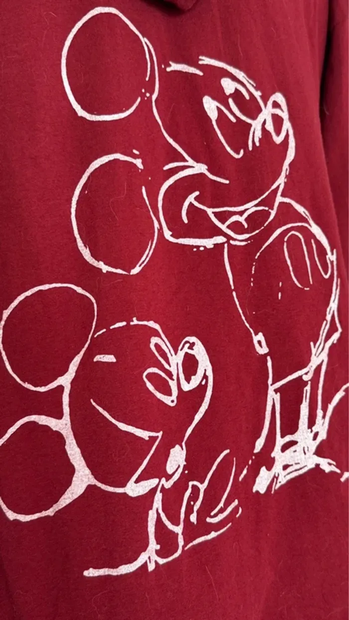 Mickey - photo numéro 3