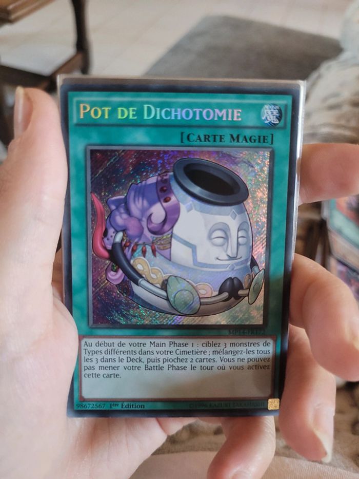 Carte pot de dichotomie