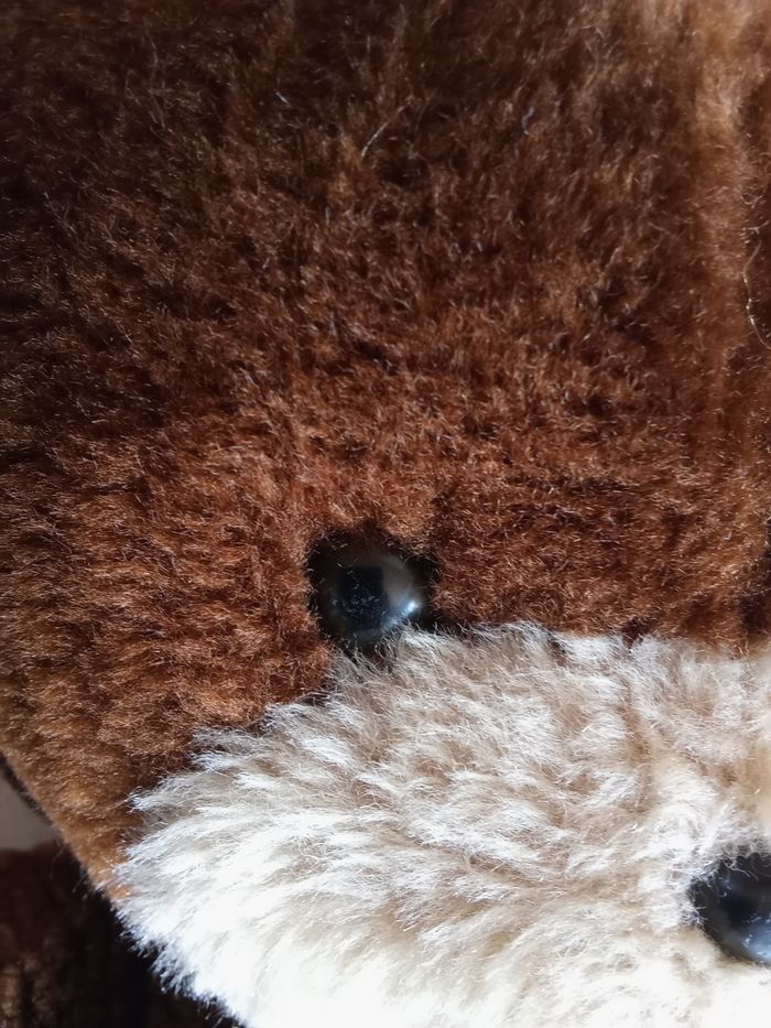 Peluche ours marron foncé / clair  beige   40 cm +/-  vintage ancien bel ours  ourson Boulgom  en posture debout  nez noir dur  yeux noirs en plastique - photo numéro 3