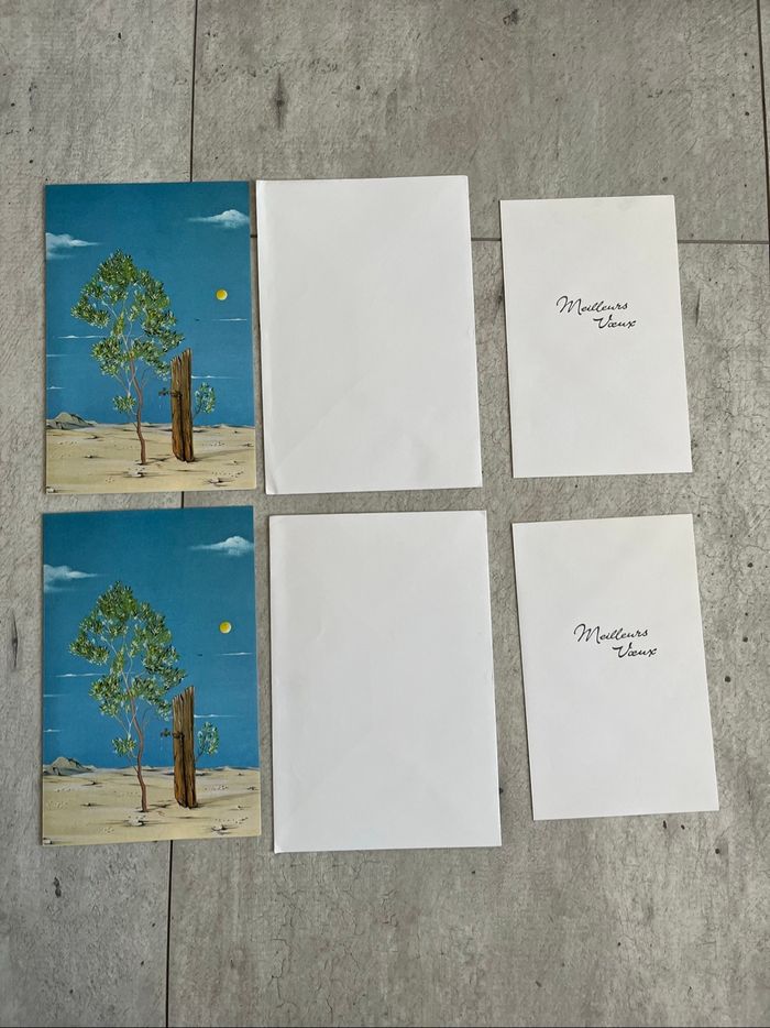 Lot 2 cartes désertiques - photo numéro 2