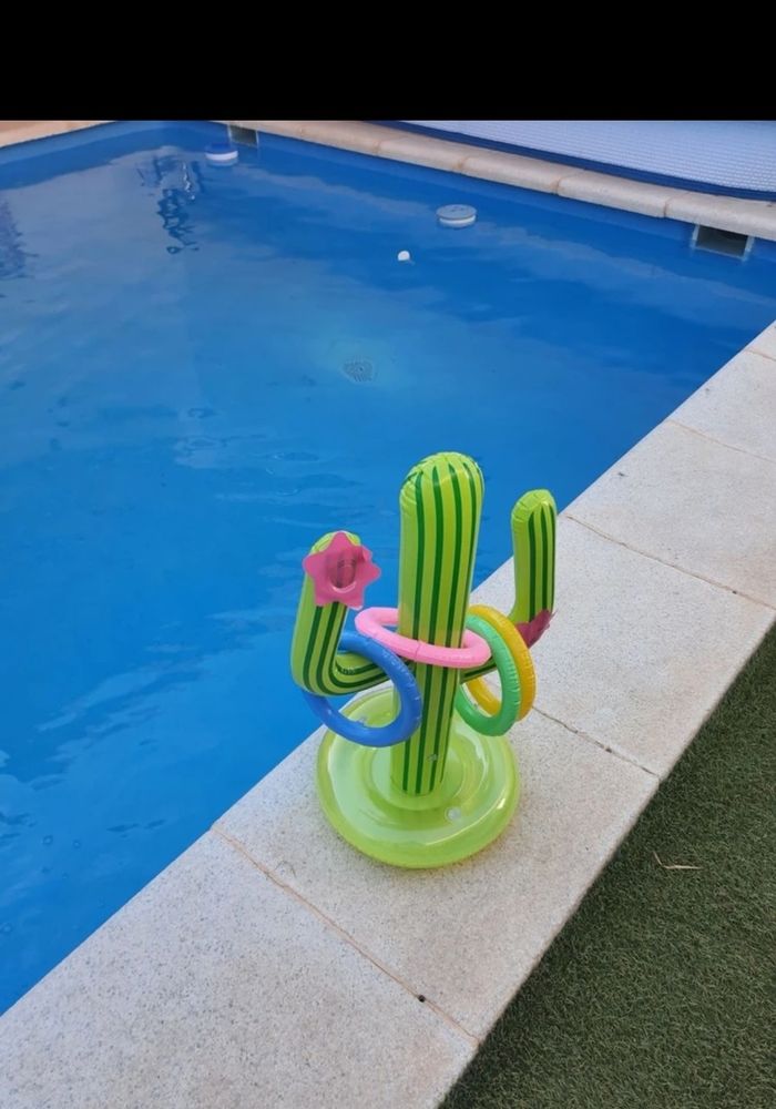 Jeu bouet cactus