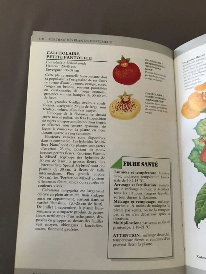 Livre Le guide des plantes d’intérieur - photo numéro 5