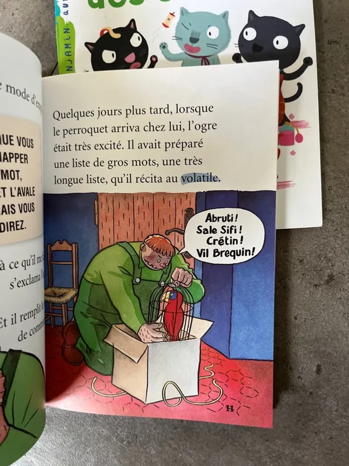 Lot de 2 livres 6/7 ans premières lectures - photo numéro 5