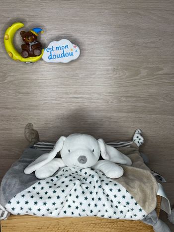 OB31 doudou lapin 🐰 obaibi