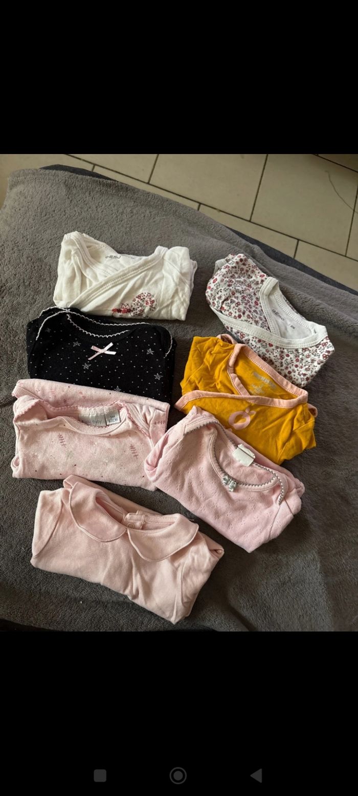 Bodies