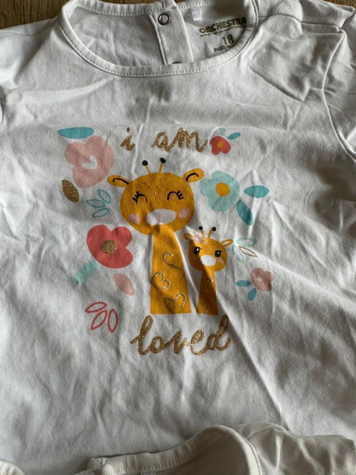Lot de 4 tee shirts 18mois - photo numéro 4