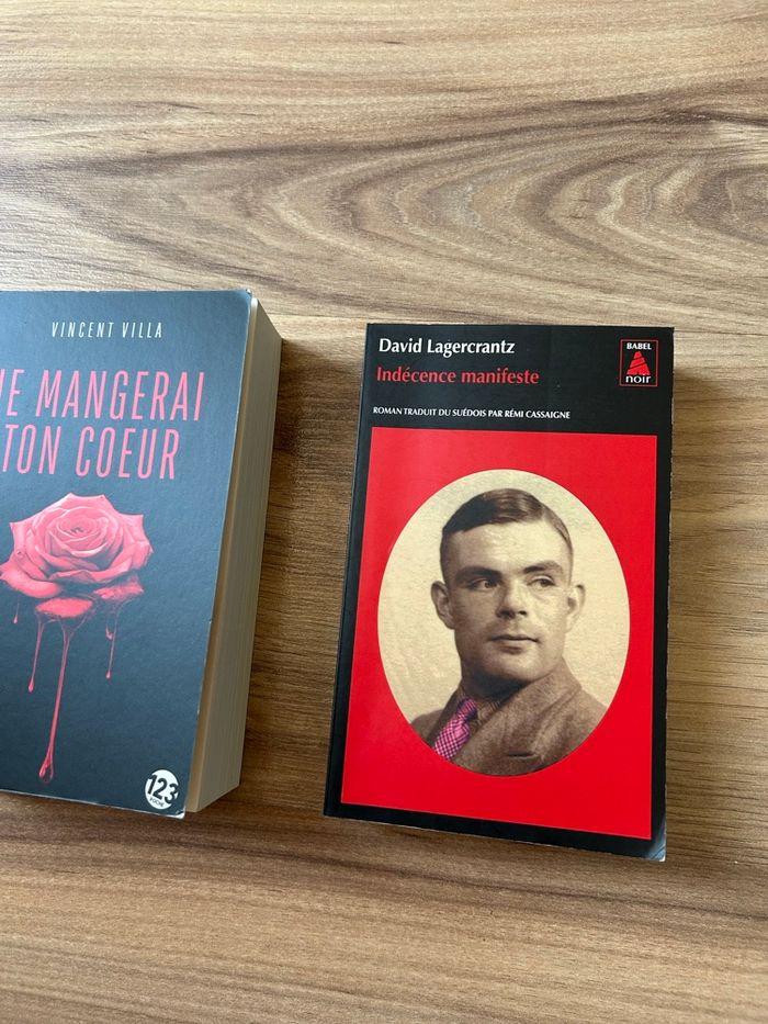 Lot de 2 livres Thriller / Roman Noir - photo numéro 2