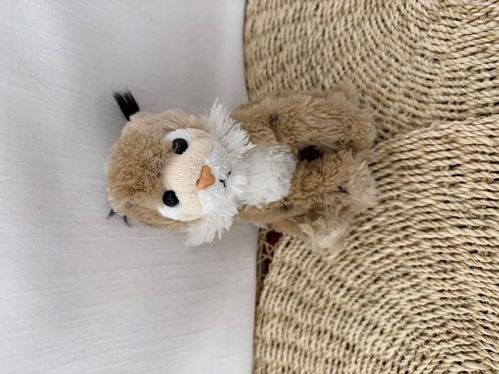 Peluche chat sauvage lynx DANI - photo numéro 7