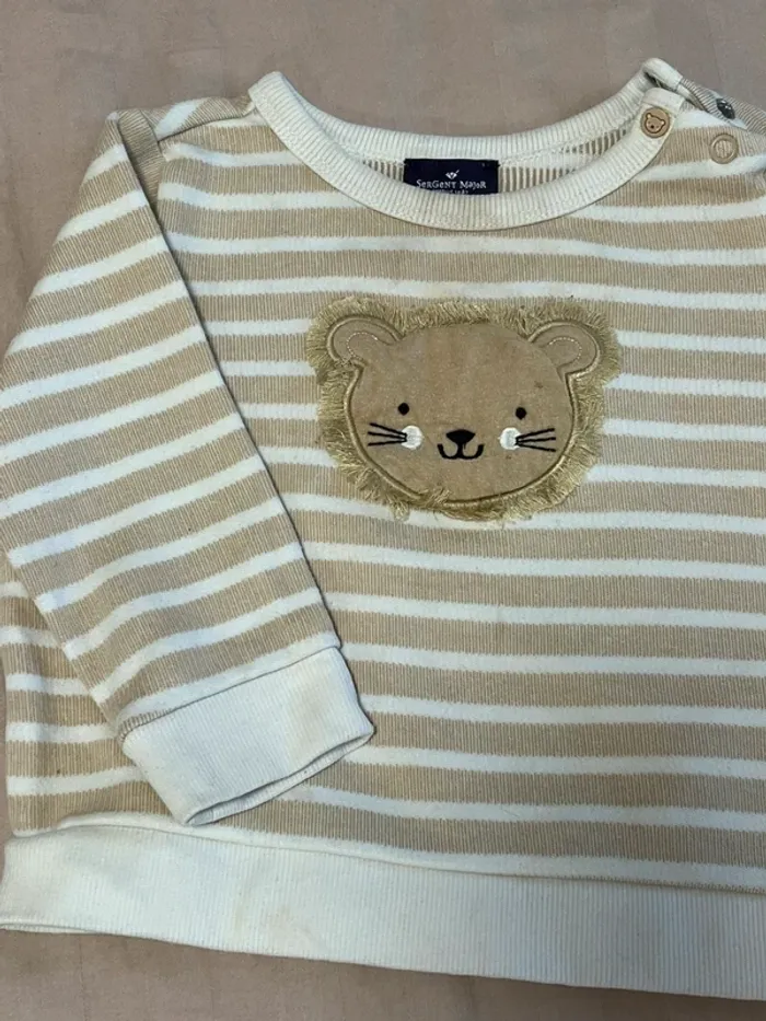 Pull lion - photo numéro 2