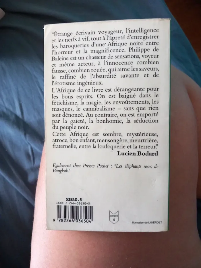 Le petit train de la brousse - photo numéro 2
