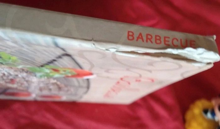 Barbecue - photo numéro 4