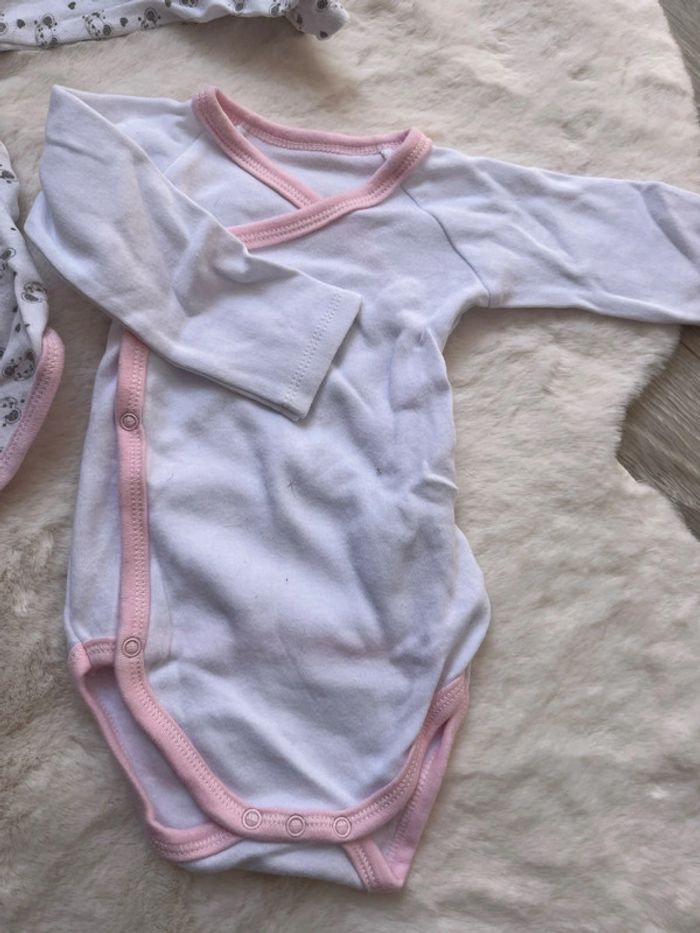 2 Bodie croisés 9 mois - photo numéro 3