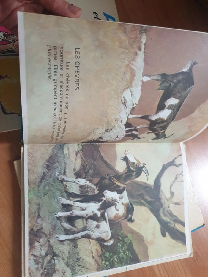 Lot de livres - photo numéro 4