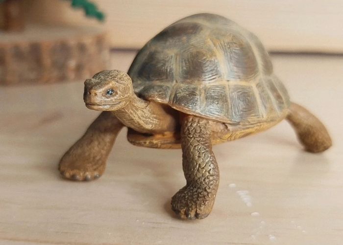 PAPO tortue de terre beige Figurine Animal de la ferme - photo numéro 2