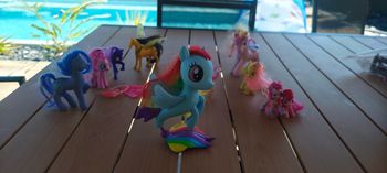 Lot de petits poneys
