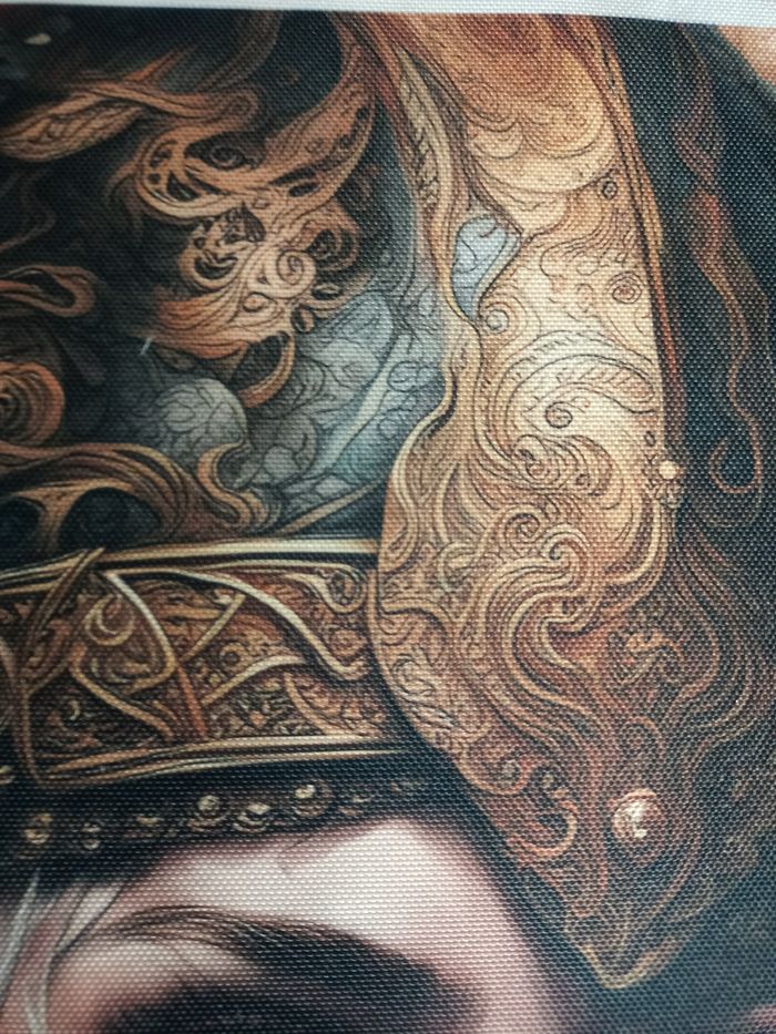 Toile la guerrière viking - photo numéro 10