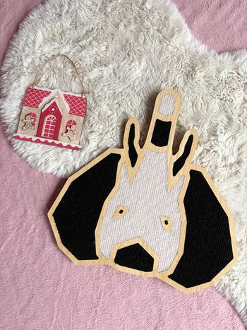 🫶🏼 Jolie griffoir pour chat jamais utilisé