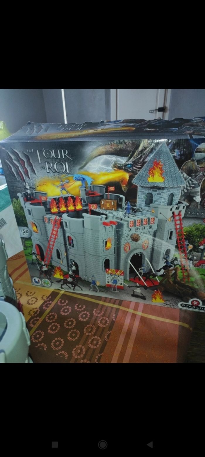 Le château du Roi