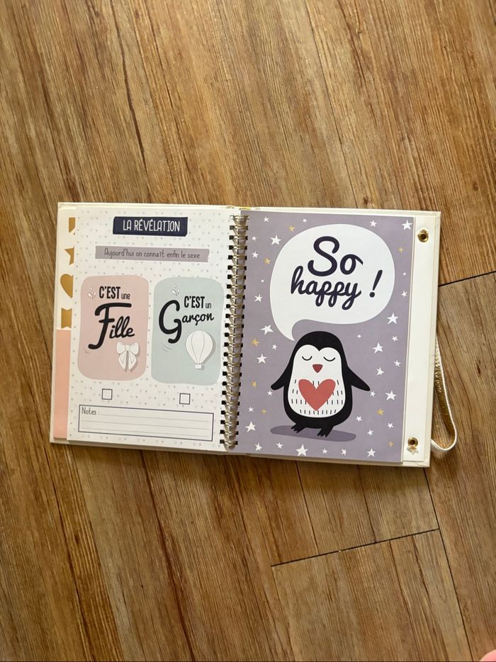 Carnet de grossesse - photo numéro 4