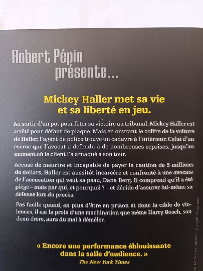 Roman policier " L'innocence et la loi " - photo numéro 3