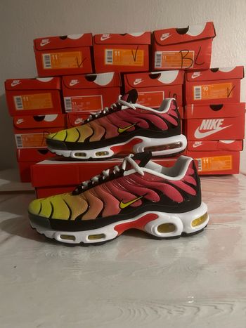 Tn rainbow 39