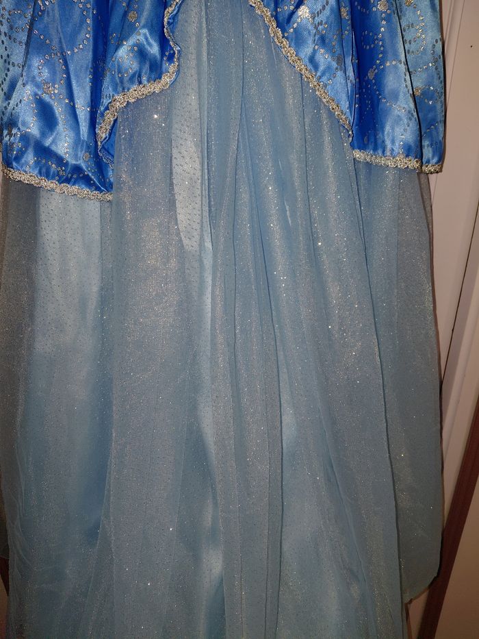 Robe déguisement cendrillon césar - photo numéro 3
