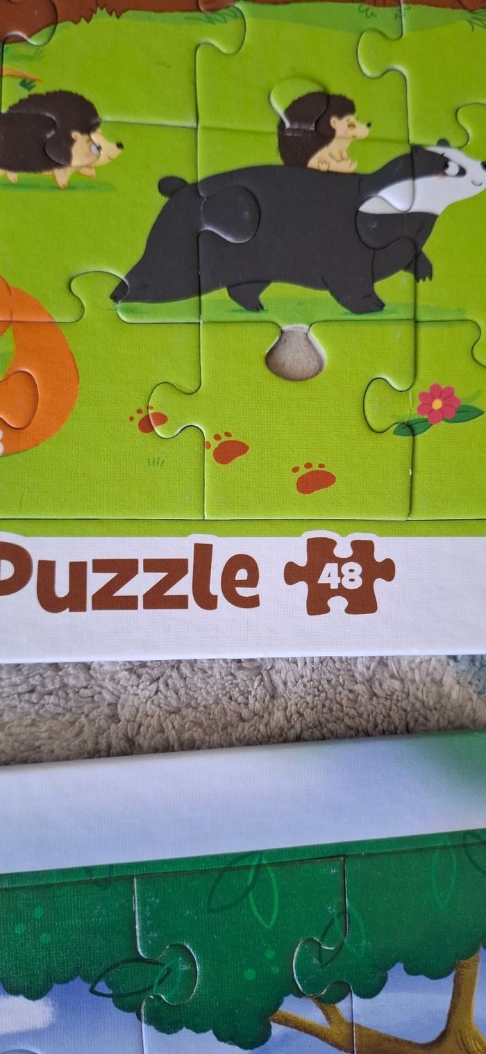 Puzzle - photo numéro 4
