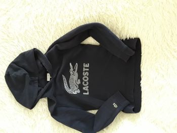 SWEAT À CAPUCHE LACOSTE 10 ANS 