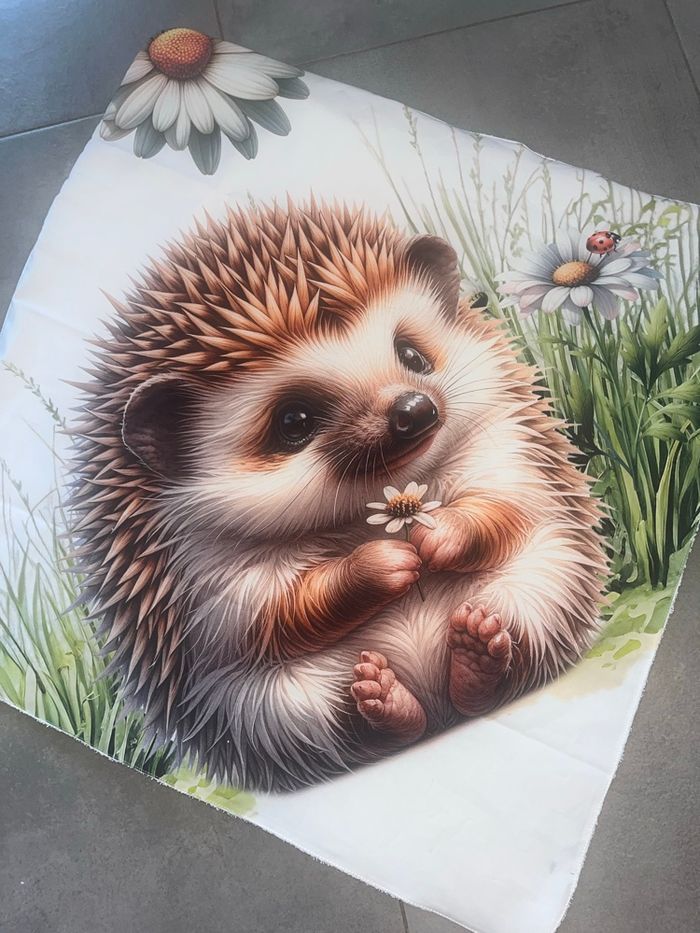 Collection hérisson - photo numéro 2