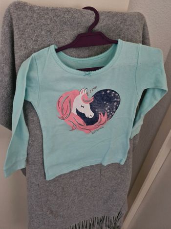 Lot deux  2 vêtements pour  fille 