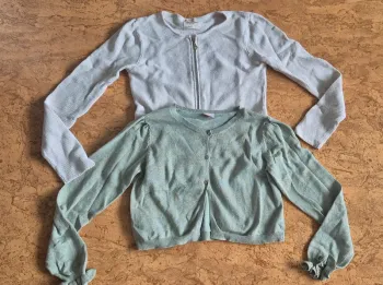 Lot gilets