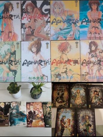 Lot manga intégrale Earl and fairy + intégrale Marry grave + agharta