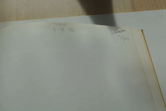 Turner - photo numéro 3