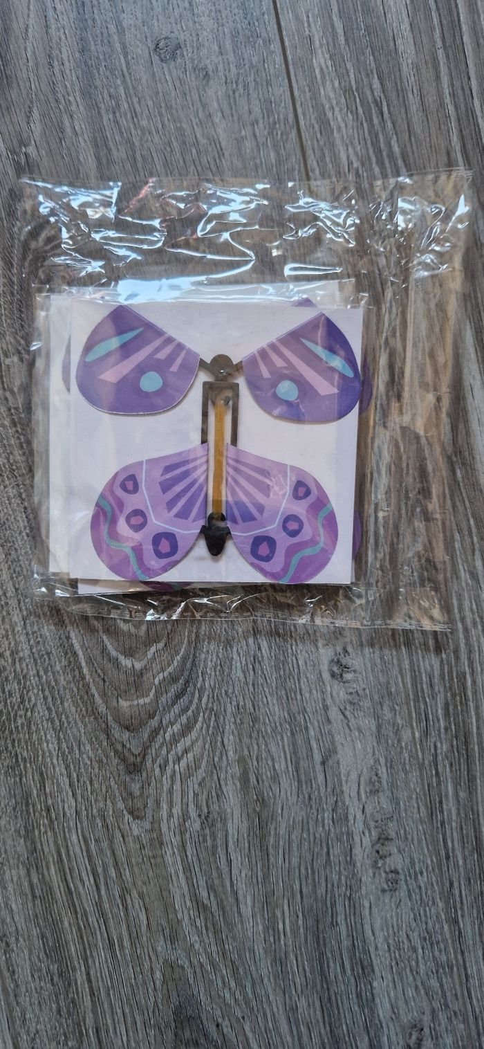 Papillons volant - photo numéro 4