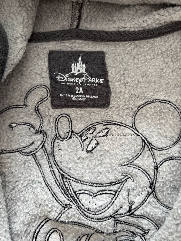 Sweat zippé à capuche gris Disneyland - photo numéro 2