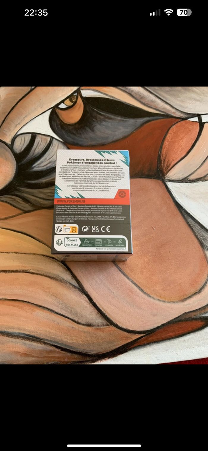 Bundle Pokémon aventure ensemble ev9 - photo numéro 3