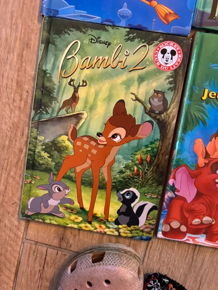 Lot de livres Disney - photo numéro 11
