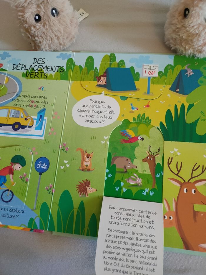 Livre enfant - Pourquoi ? Plus écolo - photo numéro 3