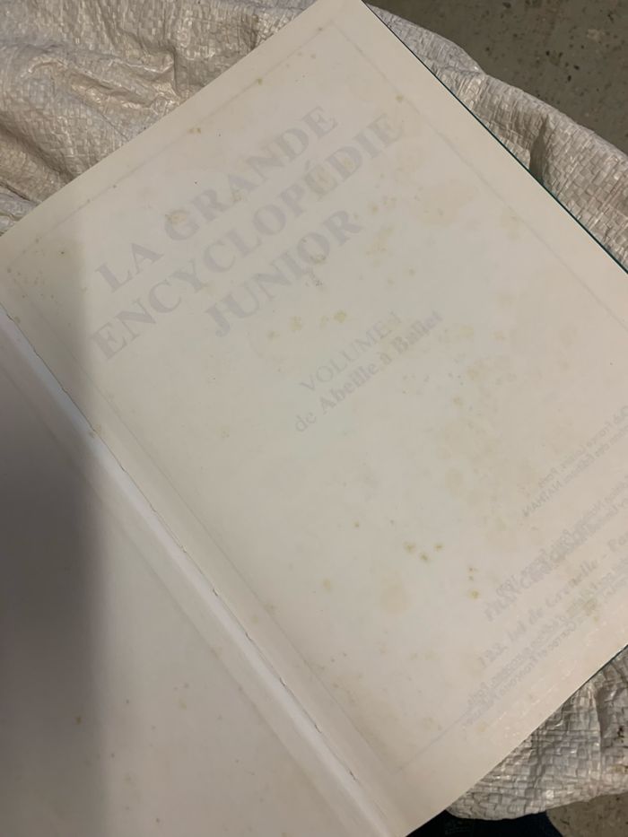 Encyclopédie junior - photo numéro 2