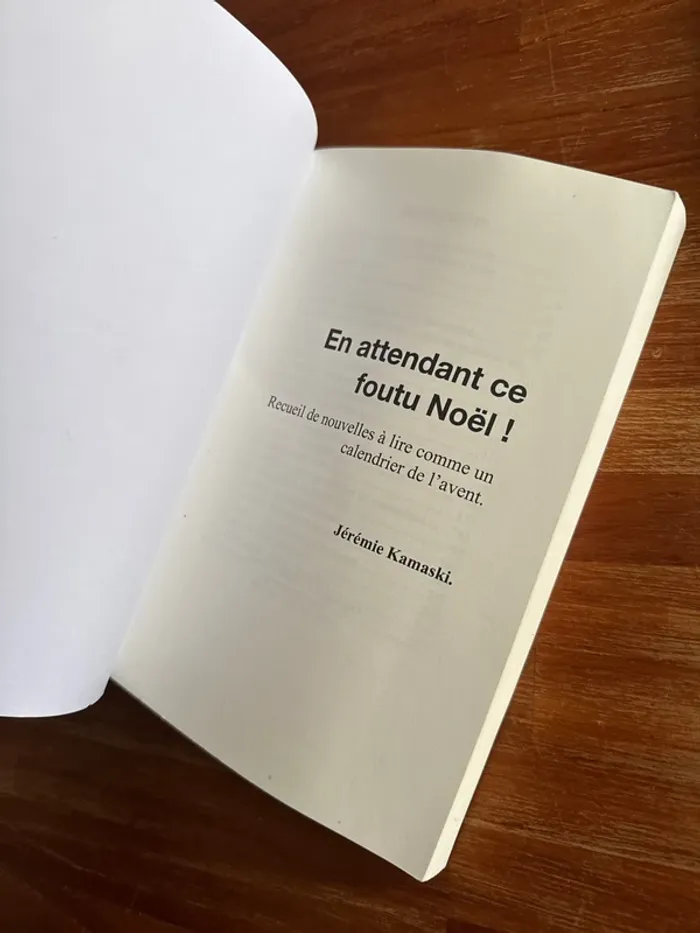 Livre en attendant ce foutu Noël ! - photo numéro 5