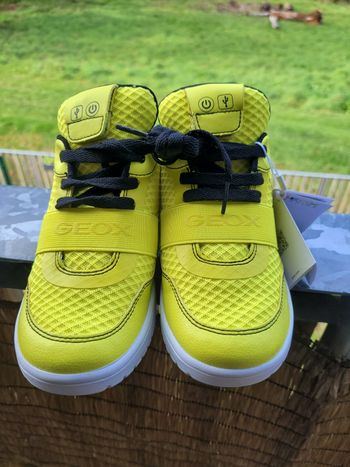 basket geox t34 neuf (15e)