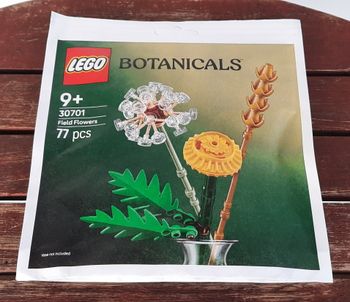 Neuf - LEGO Botanicals 30701 Les fleurs des champs