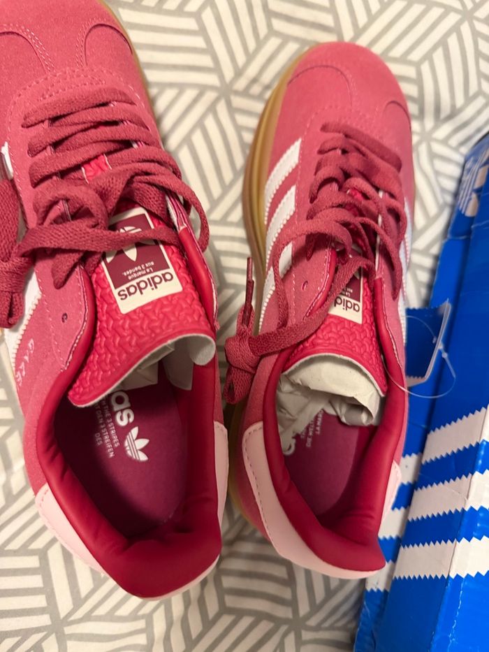 Gazelle - photo numéro 4