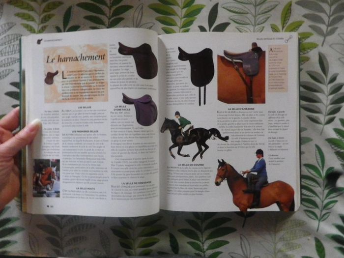 L'Encyclopédie des chevaux & poneys Ed. LLC - photo numéro 6
