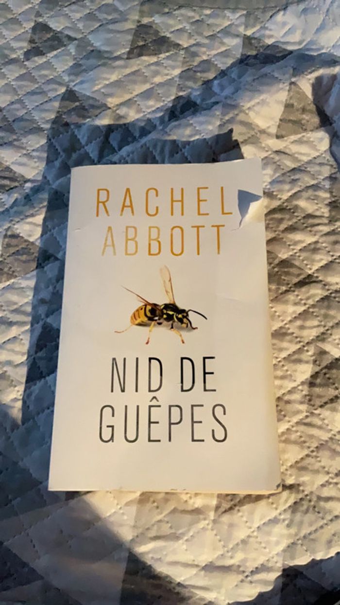 #nid de guêpes Rachel Abbot - photo numéro 4