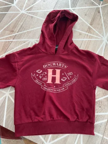 Sweat Harry Potter