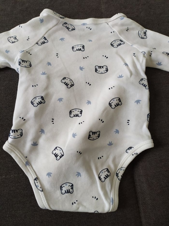 Body - photo numéro 5