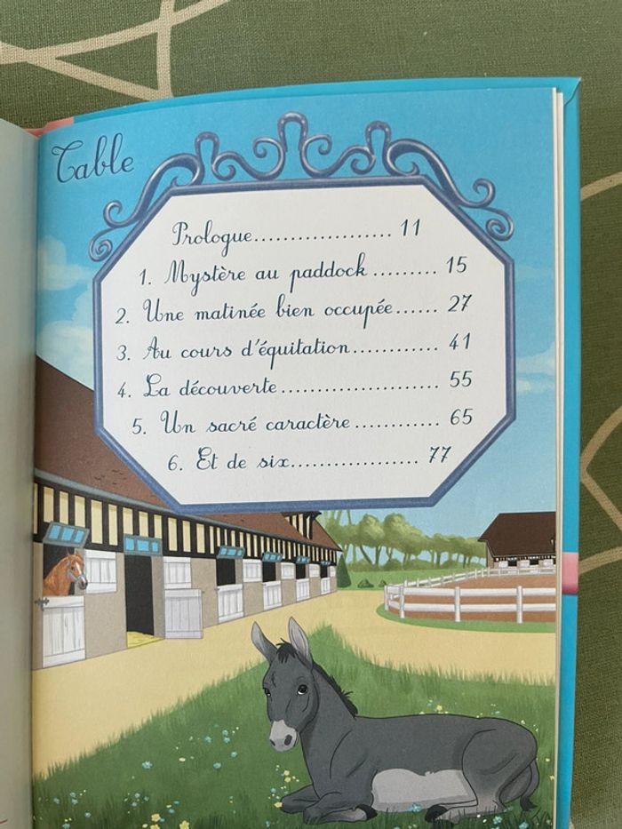 Livre Mes Amis Les Chevaux Tome 1 - photo numéro 3